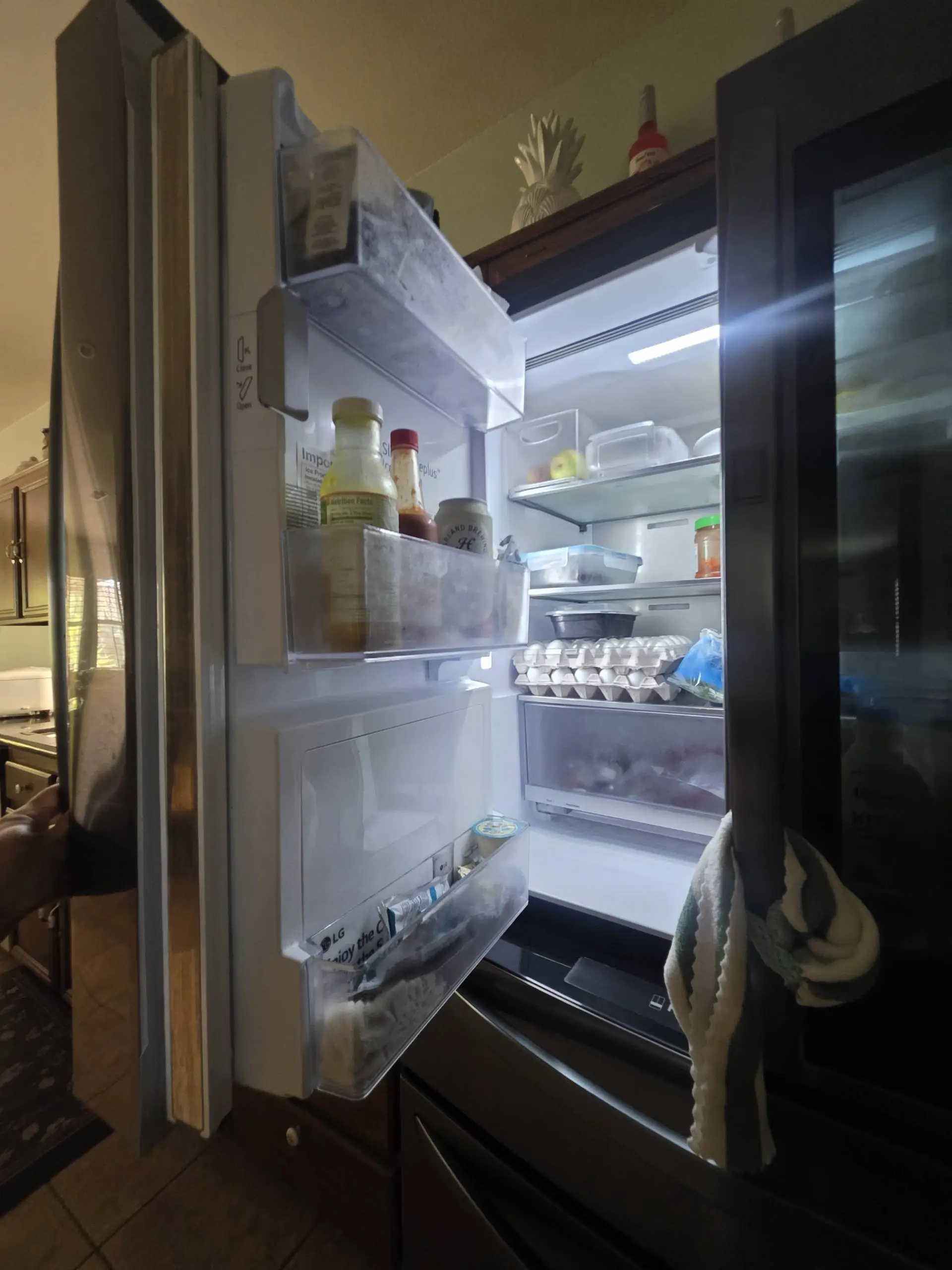 LG Refrigerator Ice Maker Is Leaking Water — Possible Water Valve or Ice Maker Assembly Failure